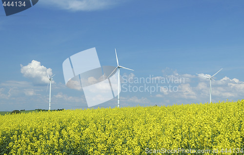 Image of farm of windturbines close to rape field