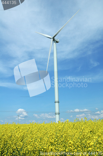 Image of a windturbine into a rape field