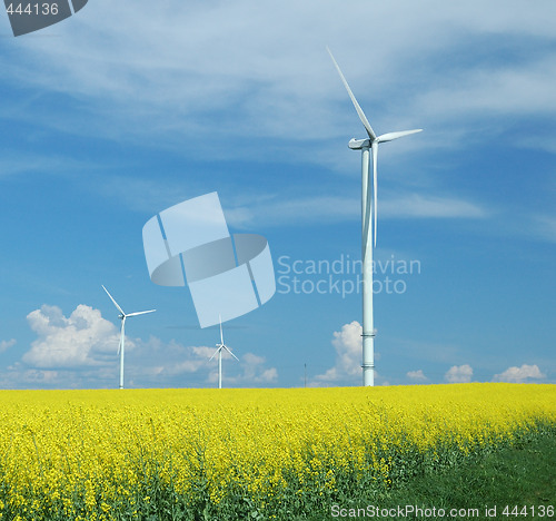 Image of farm of windturbines close to rape field