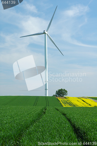 Image of a windturbine into a green field