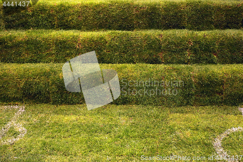 Image of Artificial Grass