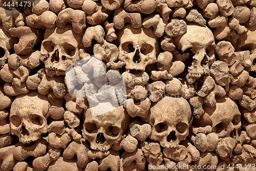 Image of Skulls and bones in a wall