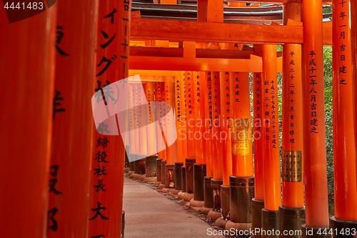 Image of Fushimi Inari Taisha torii gates