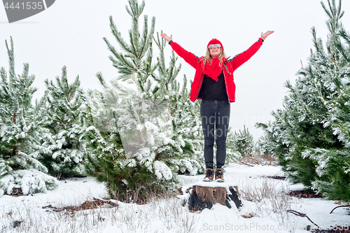 Image of Standiing among the snow covered pine tree forests