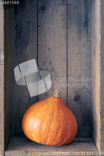 Image of a typical orange pumpkin on wooden background