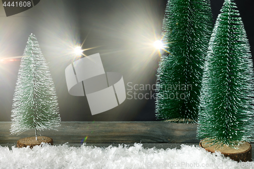 Image of Christmas decoration background with fir trees and light flares