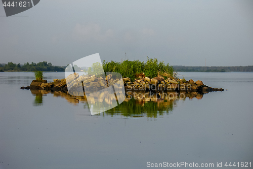 Image of Rock with vegetation in the river