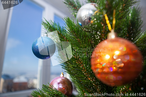 Image of New Year tree near window at winter