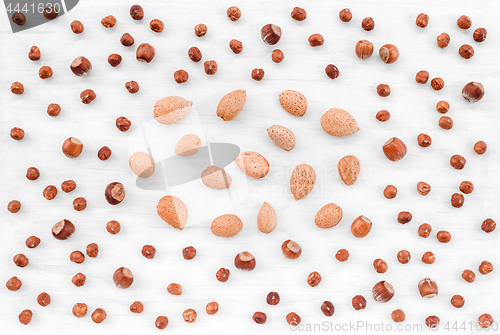 Image of Hazelnuts and almonds on white wooden background