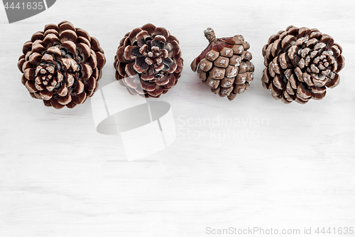 Image of Four pine tree cones on white wooden background