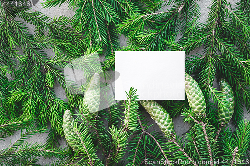 Image of Blank white card and green fir branches