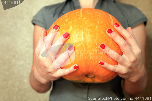 Image of ripe pumpkin in hands of woman