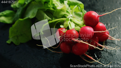Image of Bunch of ripe radish