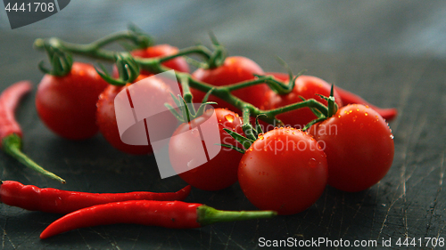 Image of Fresh grapevine tomatoes and chili