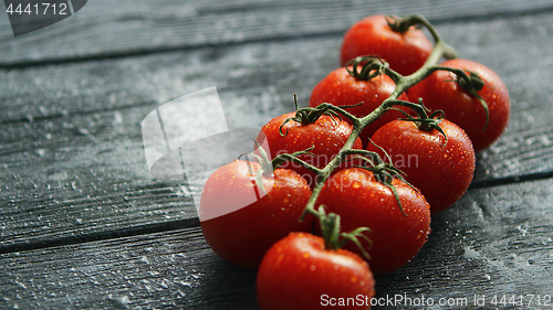 Image of Branch with cherry tomatoes 