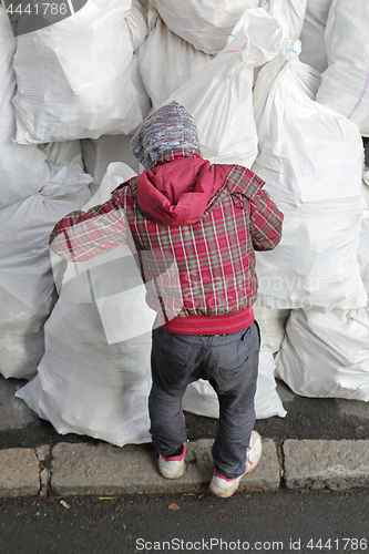 Image of Looking in Trash Bags