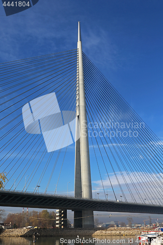 Image of Pylon Bridge Belgrade