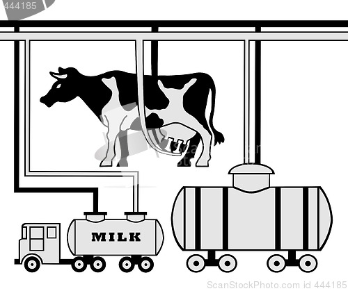 Image of Manufacture of milk
