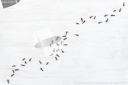 Image of Cloves on white wooden background with copy space