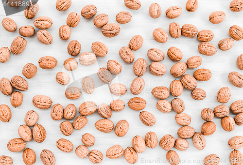 Image of Lots of walnuts scattered on white wooden background