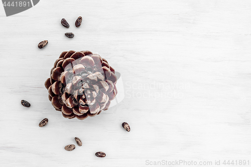 Image of Pine tree cone and nuts on white wooden background