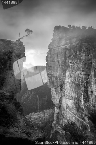 Image of Fog and Cloud Blue Mountains