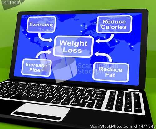 Image of Weight Loss Diagram On Laptop Showing Exercise And Calories