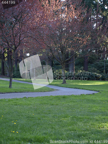Image of Park Pathway