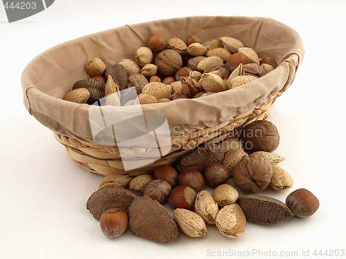 Image of Mixed Nut Harvest