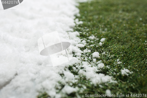 Image of Meeting snow on green grass close up - between winter and spring concept background