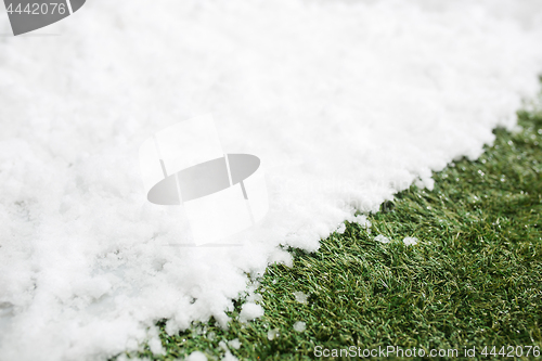 Image of Meeting snow on green grass close up - between winter and spring concept background