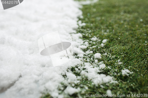 Image of Meeting snow on green grass close up - between winter and spring concept background