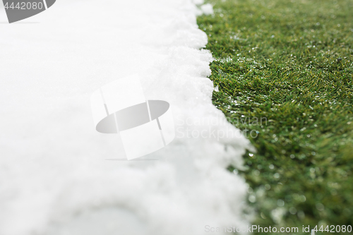 Image of Meeting snow on green grass close up - between winter and spring concept background