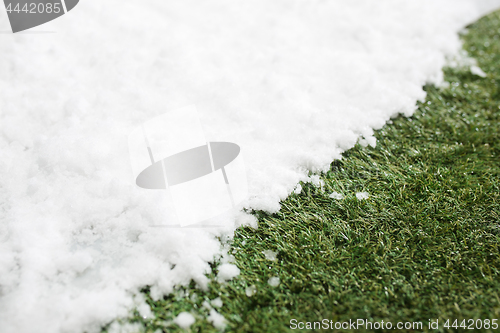 Image of Meeting snow on green grass close up - between winter and spring concept background