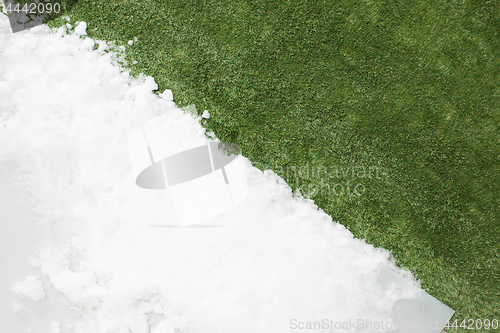 Image of Meeting snow on green grass close up - between winter and spring concept background