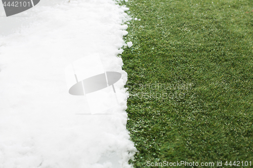 Image of Meeting snow on green grass close up - between winter and spring concept background