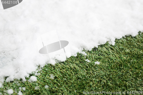 Image of Meeting snow on green grass close up - between winter and spring concept background