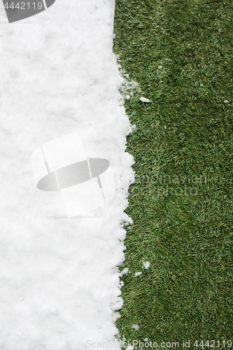 Image of Meeting snow on green grass close up - between winter and spring concept background