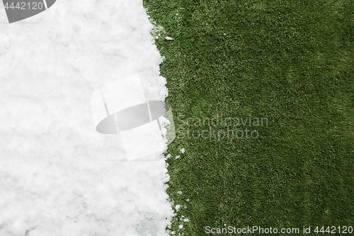 Image of Meeting snow on green grass close up - between winter and spring concept background