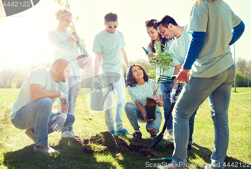 Image of group of volunteers planting tree in park