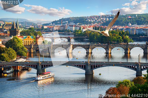 Image of Prague at summer day