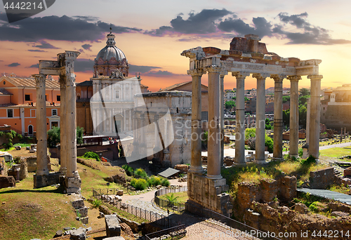 Image of Morning on Roman Forum