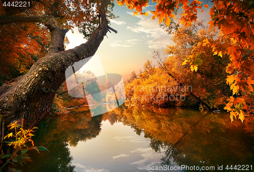 Image of Orange autumn on river