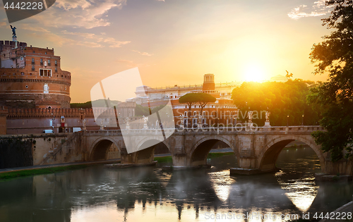 Image of Fog on Tiber river