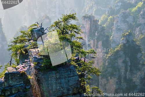 Image of Zhangjiajie mountains, China