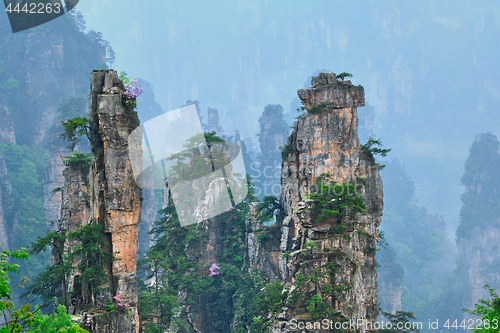 Image of Zhangjiajie mountains, China