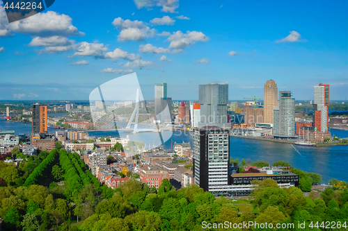 Image of View of Rotterdam city and the Erasmus bridge 