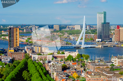 Image of View of Rotterdam city and the Erasmus bridge 