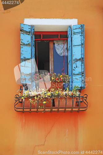 Image of Window on a orange wall, decorated with flowers