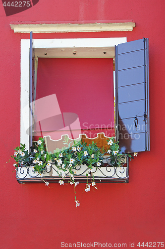 Image of Window on a red wall, decorated with flowers
